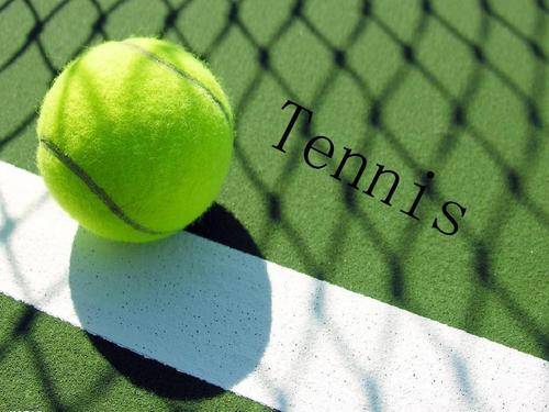 船的排名下 船的排名下