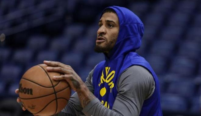 在荷兰维特 在荷兰维特